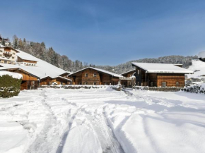 Urige Doppelhaushälfte 15 und 16 Hopfgarten Im Brixental